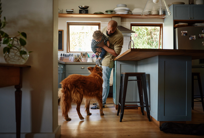 Designing a Pet-Friendly Kitchen Tips and Tricks for Animal Lovers